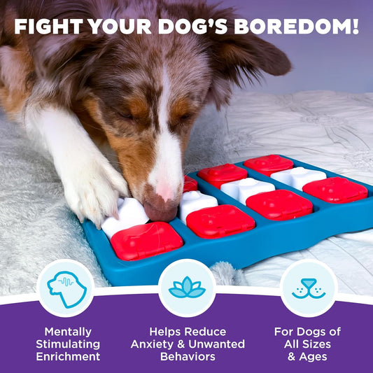Outward Hound by Nina Ottosson Dog Brick Treat Puzzle Enrichment Toy, Level 2 Intermediate Game, Blue