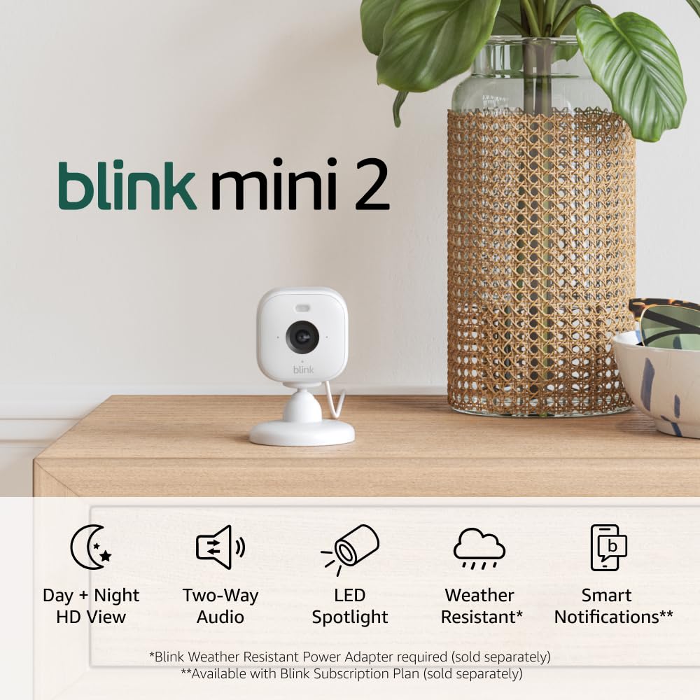 Blink Mini 2 (newest model) —  Pet Security Camera with HD video, color night view, motion detection, two-way audio, and built-in spotlight — 1 camera