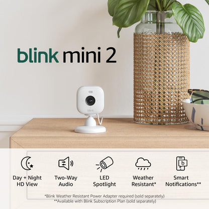 Blink Mini 2 (newest model) —  Pet Security Camera with HD video, color night view, motion detection, two-way audio, and built-in spotlight — 1 camera