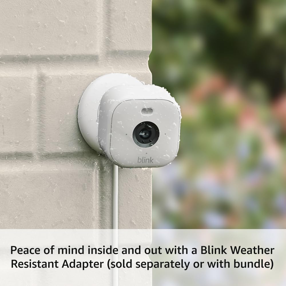 Blink Mini 2 (newest model) —  Pet Security Camera with HD video, color night view, motion detection, two-way audio, and built-in spotlight — 1 camera