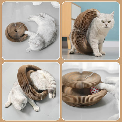 DFQ Kitty Kurlz, Magic Organ Cat Scratching Board Toy with Balls Bells,Made of Recyclable Corrugated Cardboard,Interactive Mental Physical Exercise Cat Toys for Indoor Cats(1PCS)