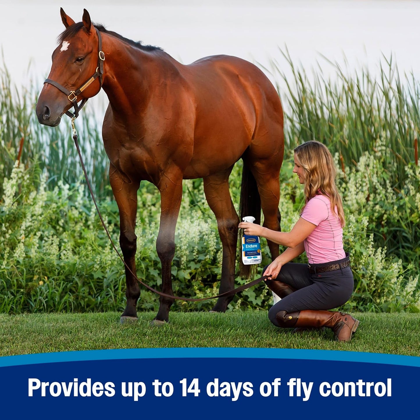 Farnam Endure Sweat-Resistant Fly Spray for Horses, Lasts Up to 14 Days, Protects Against Flies, Gnats, Mosquitoes, Ticks & Lice, 32 oz.